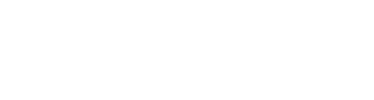 Conicelli Nissan Parts - логотип інтернет-магазину