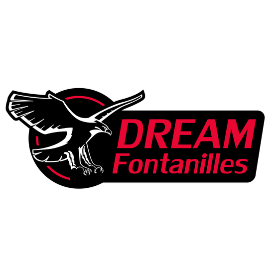 Dream-Fontanilles Toyota - логотип інтернет-магазину