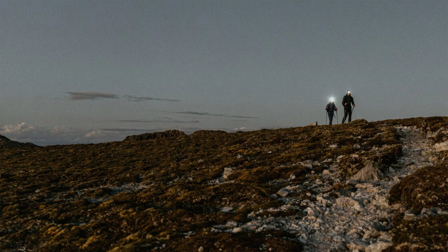 Arc'teryx - логотип інтернет-магазину