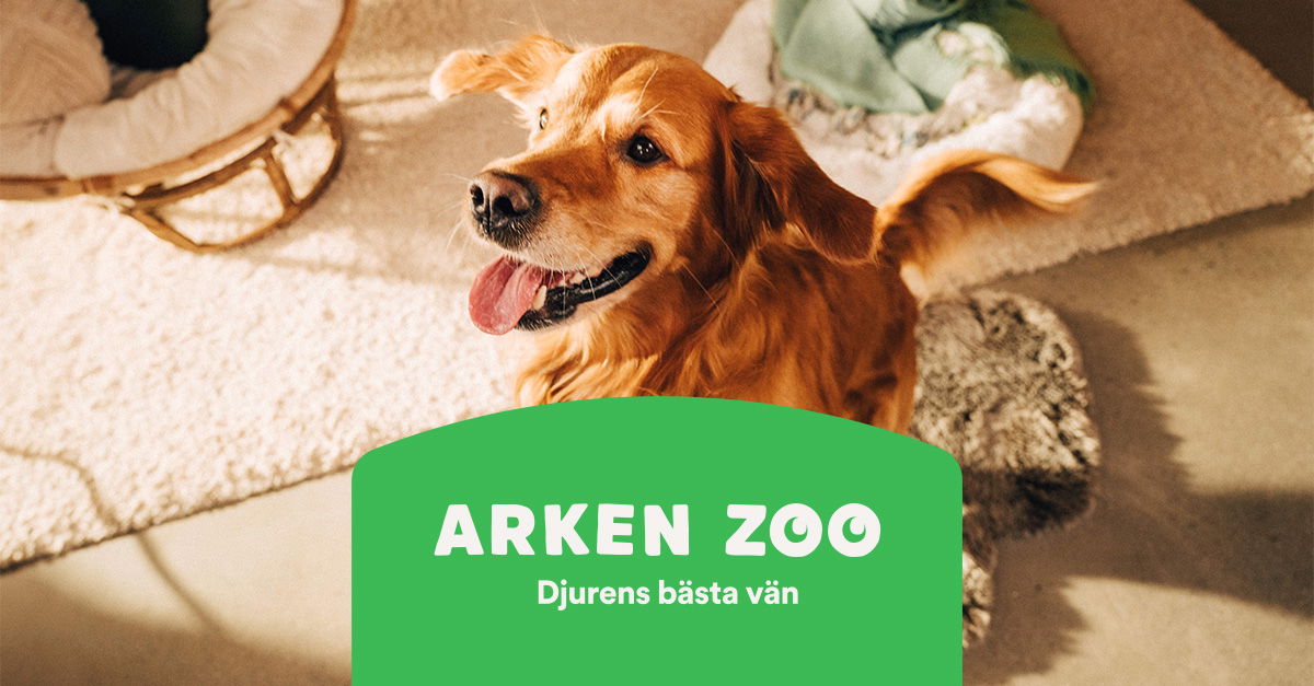 Arken Zoo - логотип інтернет-магазину