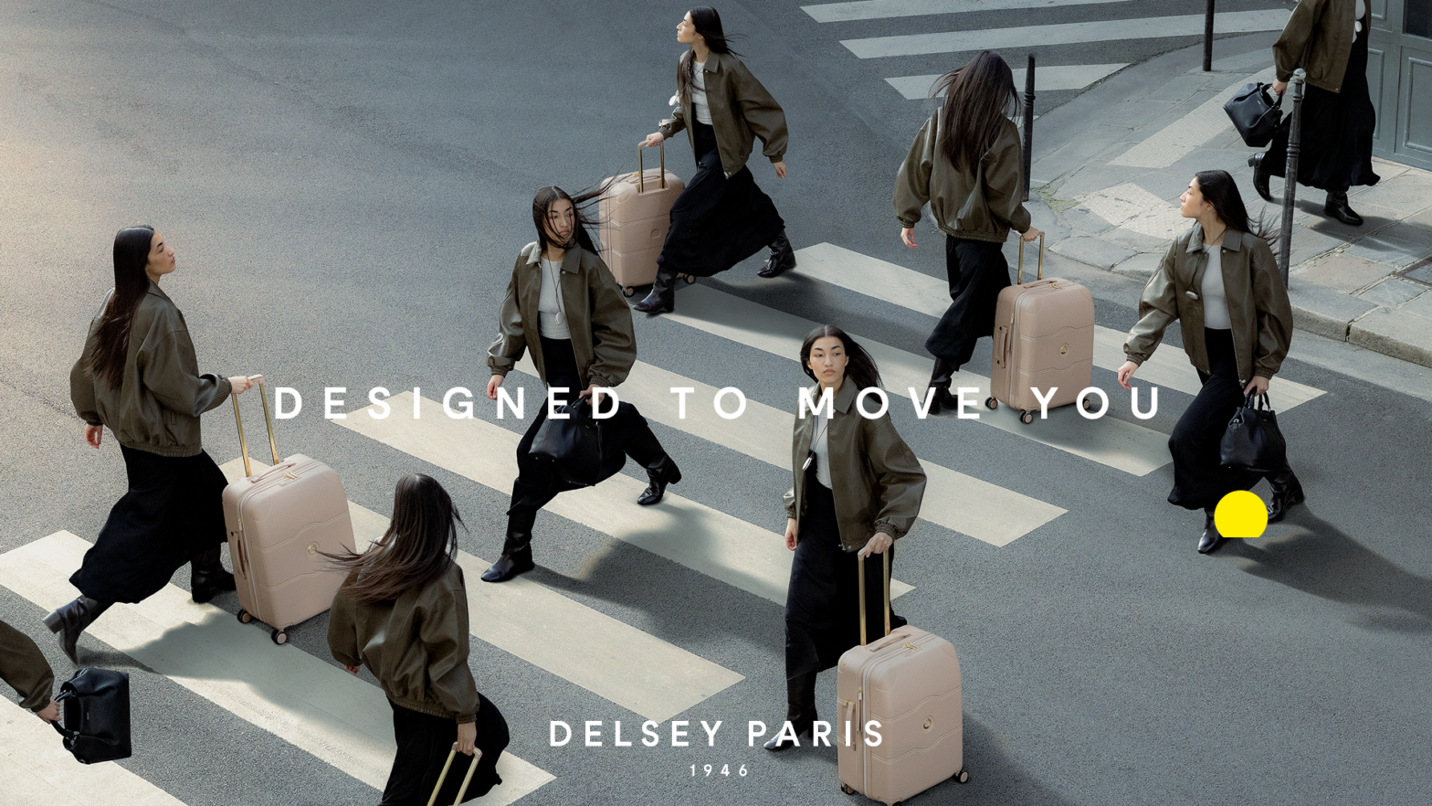 Delsey Paris - логотип інтернет-магазину