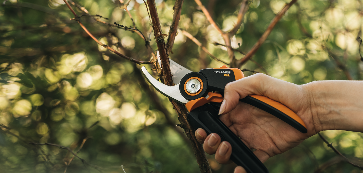 Fiskars US - логотип інтернет-магазину