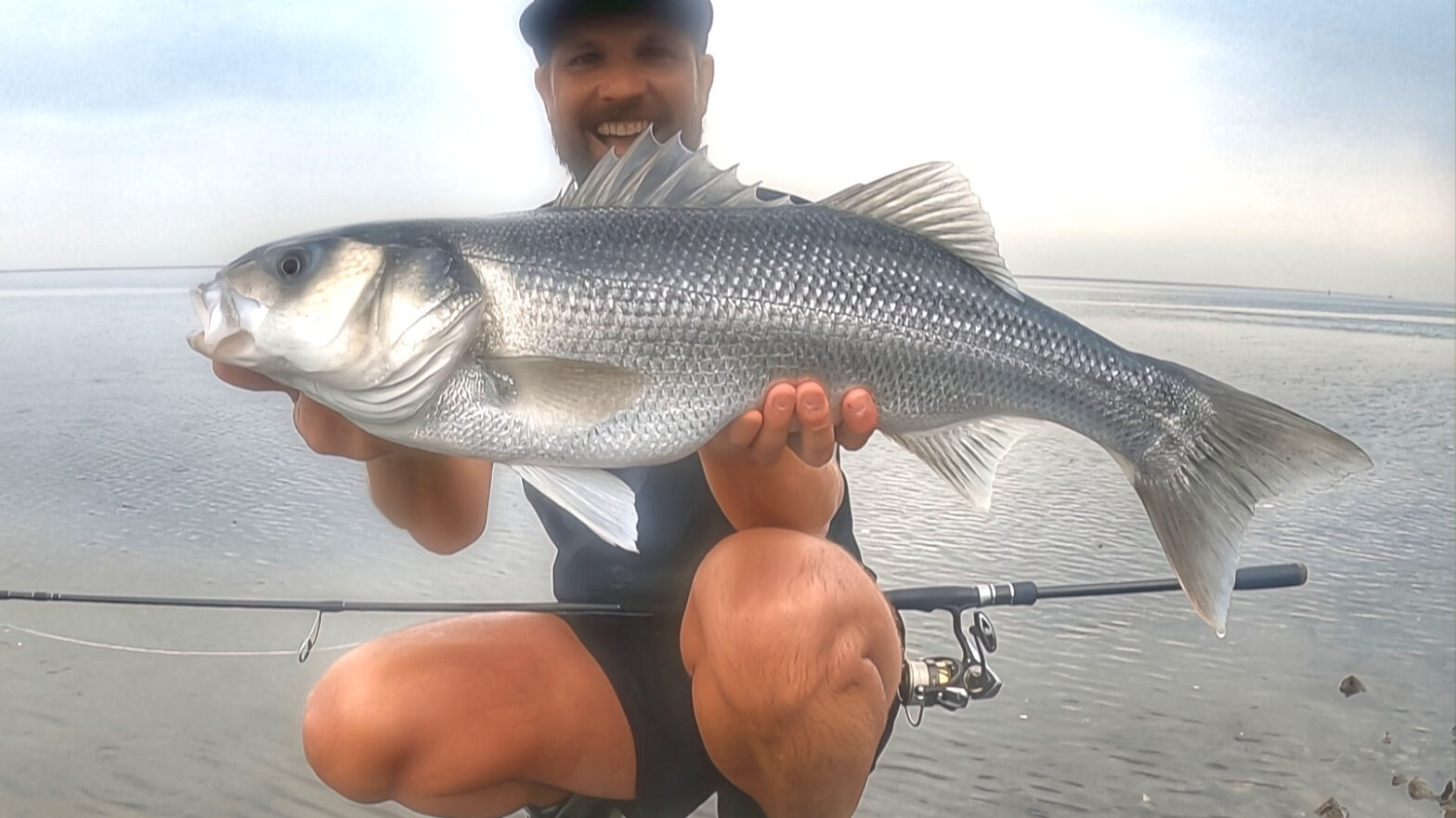 Water Wolves Fishing - логотип інтернет-магазину