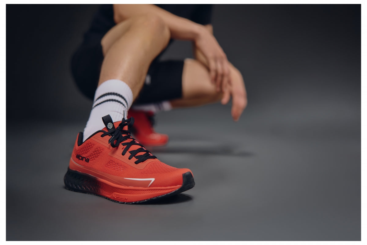 Alpina Footwear Slovenia - логотип інтернет-магазину
