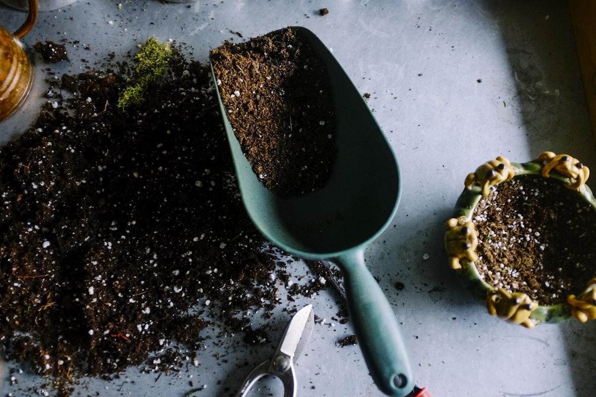 Plantagen Sweden - логотип інтернет-магазину