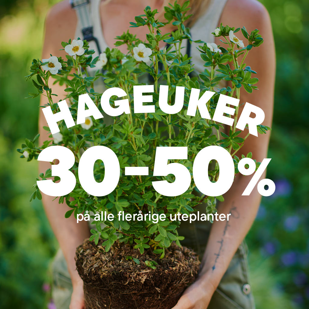 Plantasjen Norway - логотип інтернет-магазину