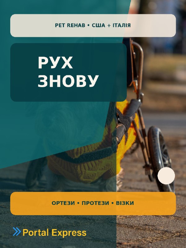 Як повернути тварині рух: 3 рішення